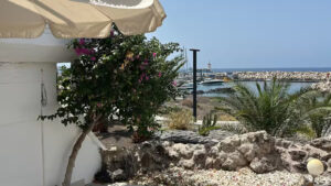 Marina Suite Lux Amarilla Golf 1